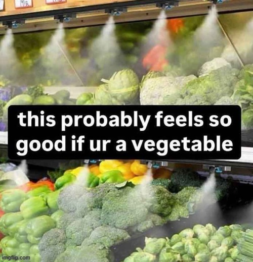 as an honorary vegetable i can confirm | made w/ Imgflip meme maker