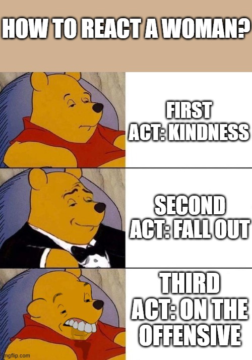 reaction of a woman | HOW TO REACT A WOMAN? FIRST ACT: KINDNESS; SECOND ACT: FALL OUT; THIRD ACT: ON THE OFFENSIVE | image tagged in best better blurst | made w/ Imgflip meme maker