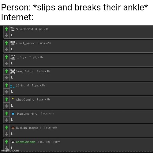 Person: *slips and breaks their ankle*
Internet: | made w/ Imgflip meme maker