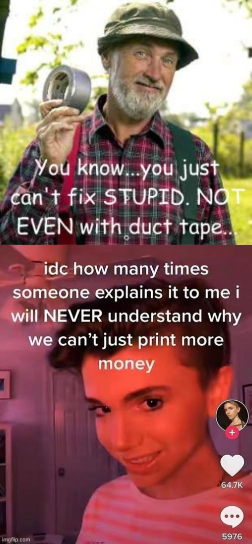 Average left wing opinion [it's nonsensical bs] | image tagged in you can't fix stupid | made w/ Imgflip meme maker
