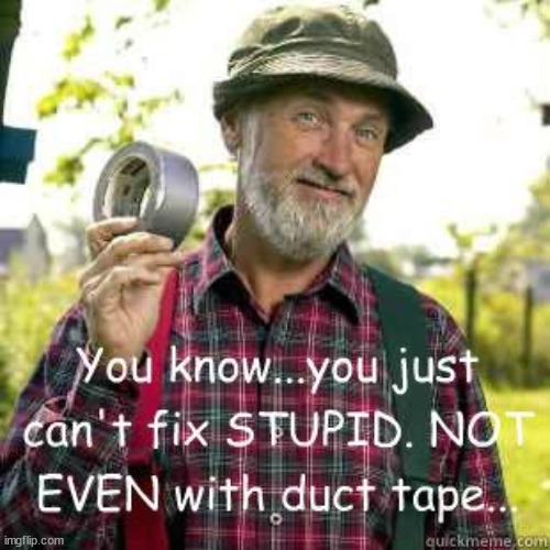 Throwback to one of the first ever templates I posted onto imgflip | image tagged in you can't fix stupid | made w/ Imgflip meme maker