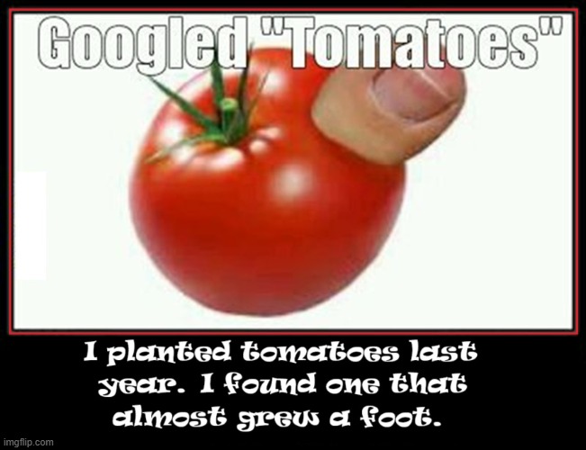 When Humans and Plants Cross Breed | image tagged in vince vance,tomatoes,toes,memes,planting,foot | made w/ Imgflip meme maker