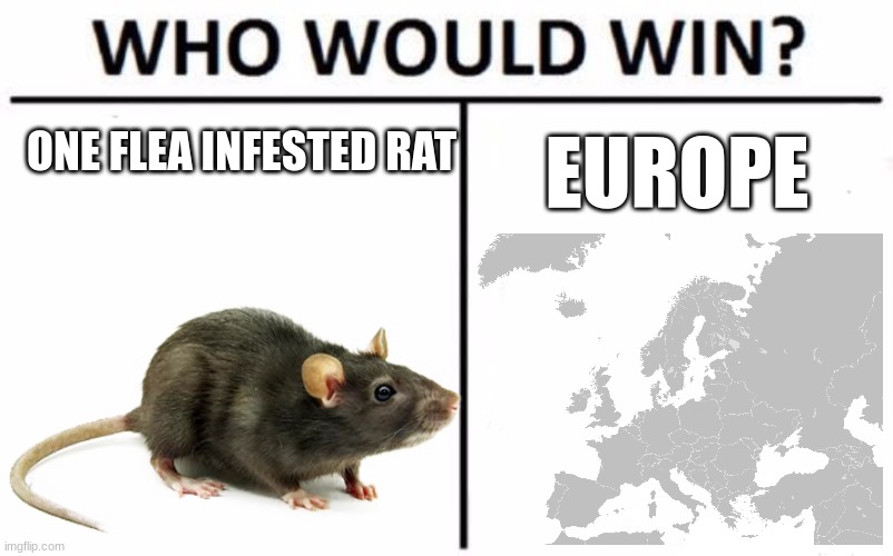 Who Would Win? | ONE FLEA INFESTED RAT; EUROPE | image tagged in memes,who would win | made w/ Imgflip meme maker