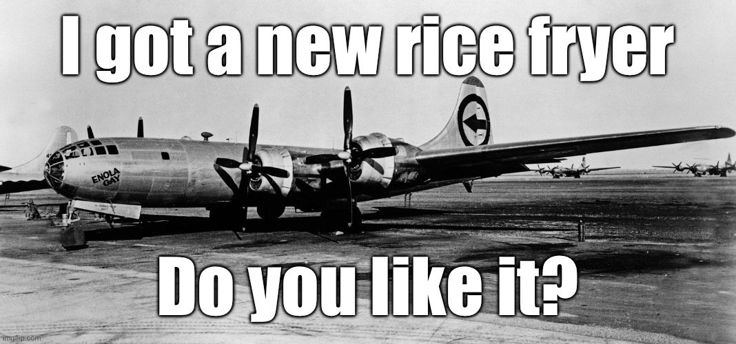 August 6th moment | I got a new rice fryer; Do you like it? | image tagged in rice | made w/ Imgflip meme maker