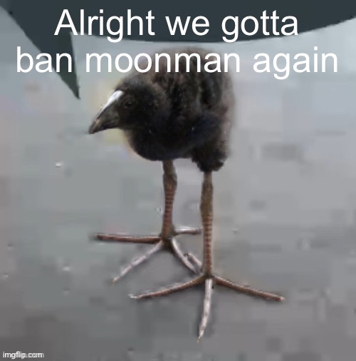 Wah wah wah wah wah wah wah wah | Alright we gotta ban moonman again | image tagged in wah wah wah wah wah wah wah wah | made w/ Imgflip meme maker