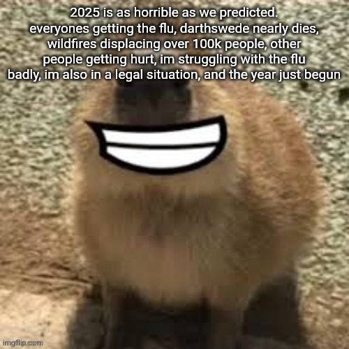 goofy ass capybara | 2025 is as horrible as we predicted. everyones getting the flu, darthswede nearly dies, wildfires displacing over 100k people, other people getting hurt, im struggling with the flu badly, im also in a legal situation, and the year just begun | image tagged in goofy ass capybara | made w/ Imgflip meme maker