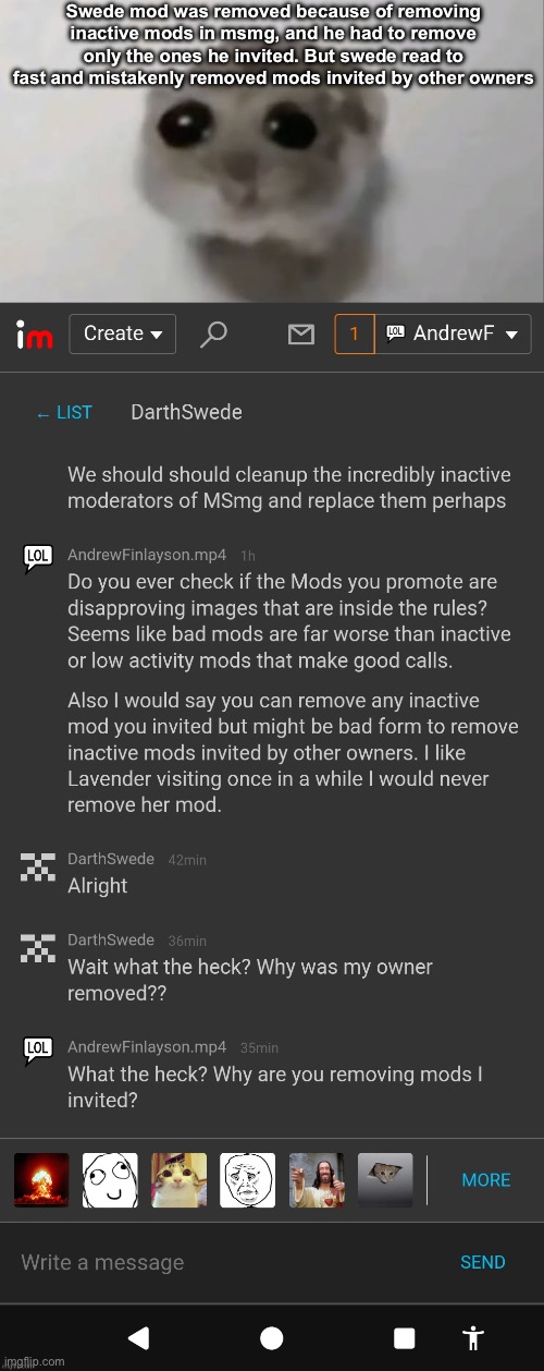 Reason why Swede ownership was removed: | Swede mod was removed because of removing inactive mods in msmg, and he had to remove only the ones he invited. But swede read to fast and mistakenly removed mods invited by other owners | image tagged in sad hamster | made w/ Imgflip meme maker