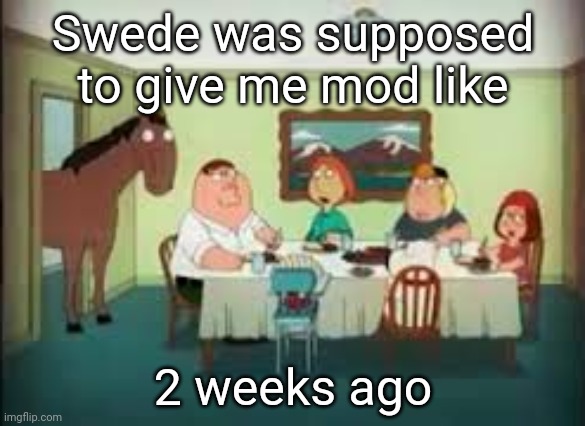 peter the horse is here | Swede was supposed to give me mod like; 2 weeks ago | image tagged in peter the horse is here | made w/ Imgflip meme maker