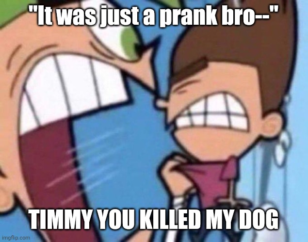 Cosmo yelling at timmy | "It was just a prank bro--" TIMMY YOU KILLED MY DOG | image tagged in cosmo yelling at timmy | made w/ Imgflip meme maker