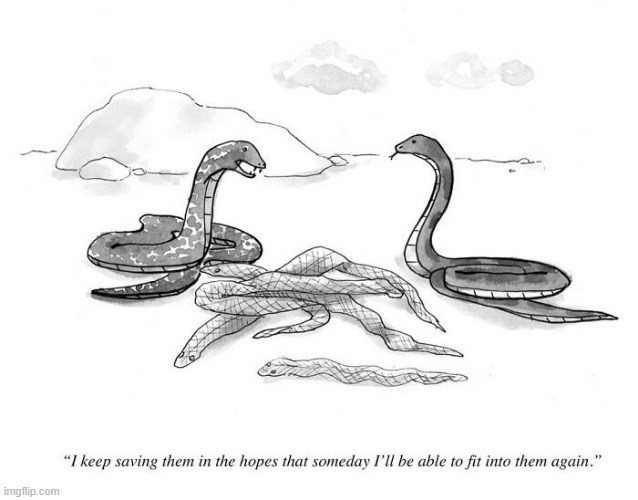 Snake Skin | image tagged in comics | made w/ Imgflip meme maker