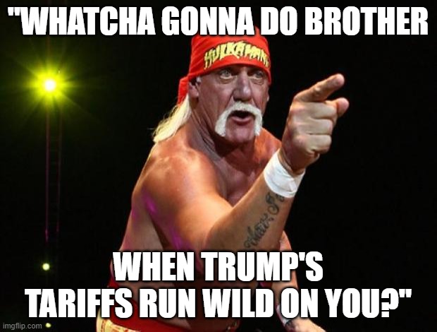 Hulk Hogan | "WHATCHA GONNA DO BROTHER; WHEN TRUMP'S TARIFFS RUN WILD ON YOU?" | image tagged in hulk hogan,wwe,tariffs,trump,conservative | made w/ Imgflip meme maker