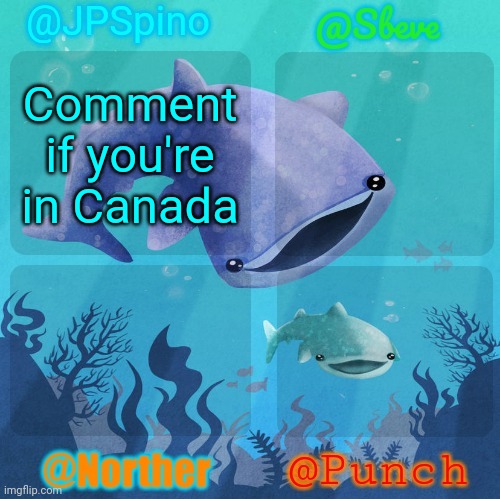 Spino, sbeve, norther, punch shared temp | Comment if you're in Canada | image tagged in spino sbeve norther punch shared temp | made w/ Imgflip meme maker