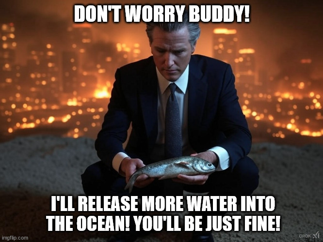 Newsom and the smelt | DON'T WORRY BUDDY! I'LL RELEASE MORE WATER INTO THE OCEAN! YOU'LL BE JUST FINE! | made w/ Imgflip meme maker