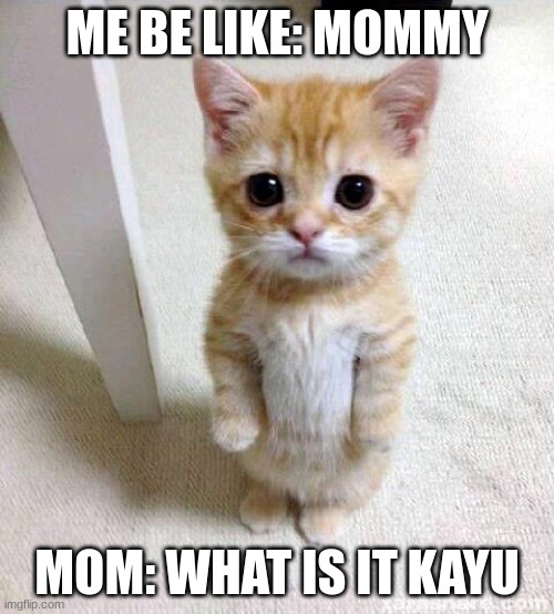 kayu | ME BE LIKE: MOMMY; MOM: WHAT IS IT KAYU | image tagged in memes,cute cat | made w/ Imgflip meme maker