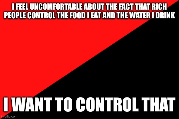 Ancom flag | I FEEL UNCOMFORTABLE ABOUT THE FACT THAT RICH PEOPLE CONTROL THE FOOD I EAT AND THE WATER I DRINK; I WANT TO CONTROL THAT | image tagged in ancom flag | made w/ Imgflip meme maker