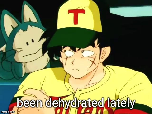 yamcha yappage temp | been dehydrated lately | image tagged in yamcha yappage temp | made w/ Imgflip meme maker