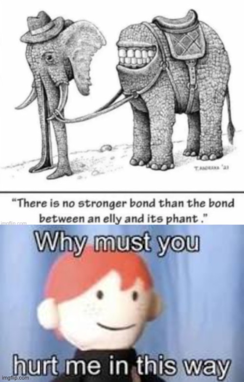 Why does the elephant look like that ? | image tagged in why must you hurt me in this way,elephant,cursed image | made w/ Imgflip meme maker