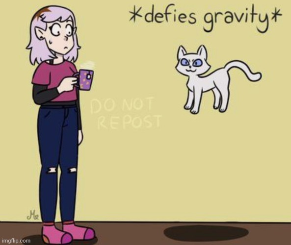 Cats Defying Gravity | image tagged in cats defying gravity | made w/ Imgflip meme maker