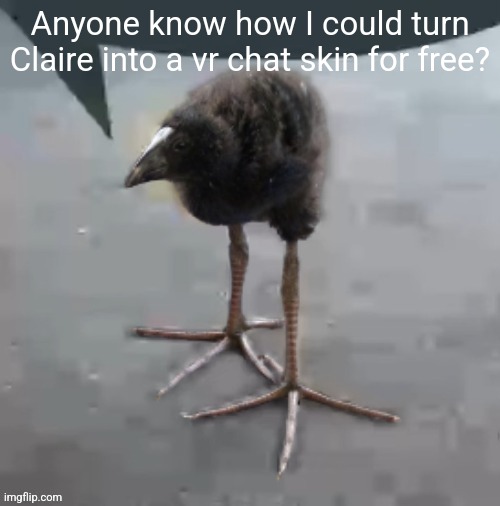 Wah wah wah wah wah wah wah wah | Anyone know how I could turn Claire into a vr chat skin for free? | image tagged in wah wah wah wah wah wah wah wah | made w/ Imgflip meme maker