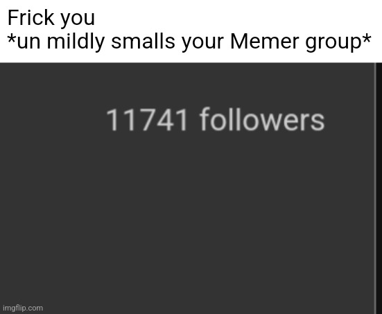 Frick you
*un mildly smalls your Memer group* | made w/ Imgflip meme maker