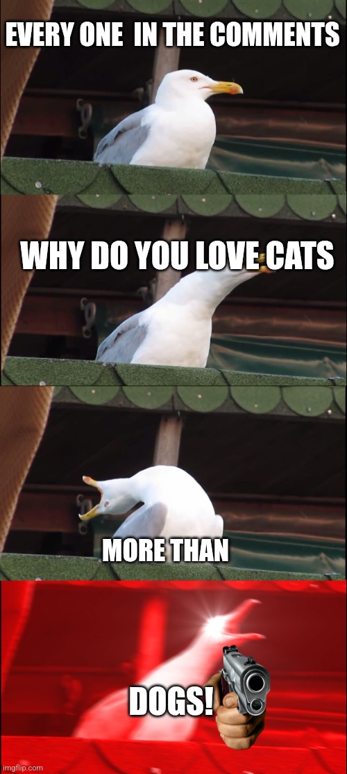 Inhaling Seagull | EVERY ONE  IN THE COMMENTS; WHY DO YOU LOVE CATS; MORE THAN; DOGS! | image tagged in memes,inhaling seagull,dogs | made w/ Imgflip meme maker