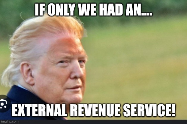 Knowledge of existing departments is not neededwhen you r goal is to reduce your government by creating another department! | IF ONLY WE HAD AN.... EXTERNAL REVENUE SERVICE! | image tagged in drag trump | made w/ Imgflip meme maker