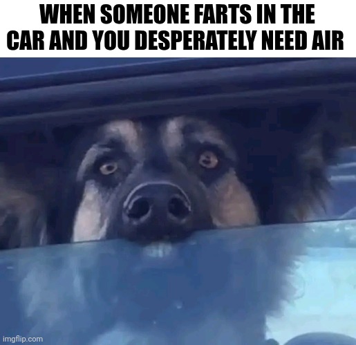 When Someone Farts In The Car And You Desperately Need Air | WHEN SOMEONE FARTS IN THE CAR AND YOU DESPERATELY NEED AIR | image tagged in chris joines | made w/ Imgflip meme maker