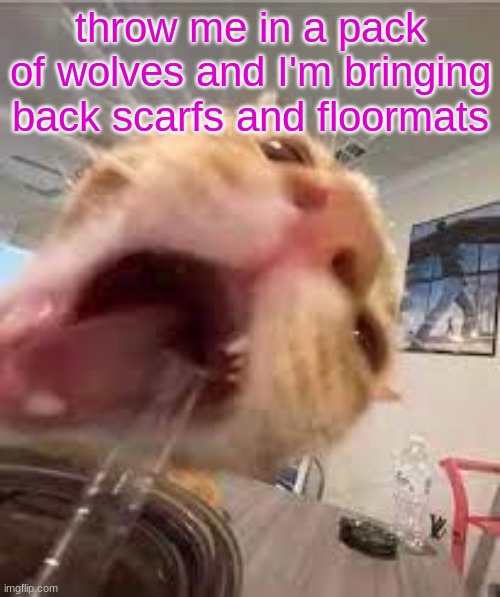 Silly | throw me in a pack of wolves and I'm bringing back scarfs and floormats | image tagged in silly | made w/ Imgflip meme maker