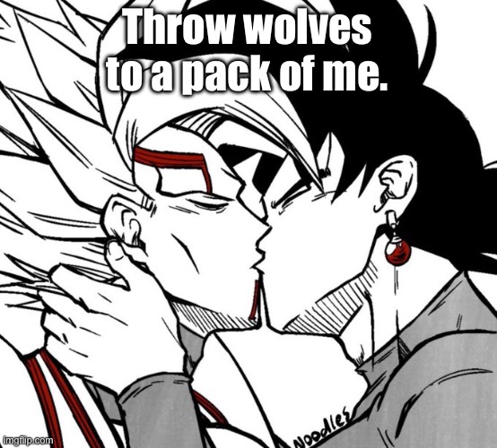 Evil dbz sequel yaoi | Throw wolves to a pack of me. | image tagged in evil dbz sequel yaoi | made w/ Imgflip meme maker