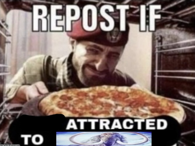 Repost if not attracted to children | image tagged in repost if not attracted to children | made w/ Imgflip meme maker