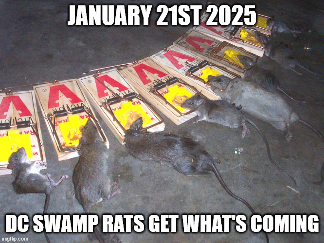 JANUARY 21ST 2025; DC SWAMP RATS GET WHAT'S COMING | made w/ Imgflip meme maker
