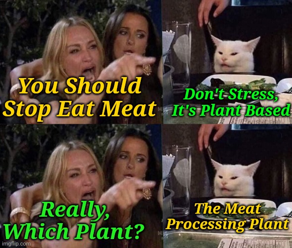 Going Leafy or Beefy | Don't Stress, It's Plant Based; You Should Stop Eat Meat; The Meat Processing Plant; Really, Which Plant? | image tagged in woman yelling at cat,memes,vegetarian,meat | made w/ Imgflip meme maker