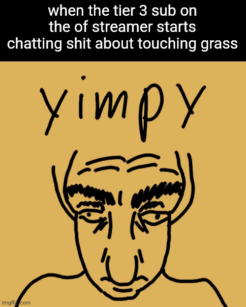 yim | when the tier 3 sub on the of streamer starts chatting shit about touching grass | image tagged in yim | made w/ Imgflip meme maker