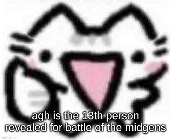silly cat thumbs up (content aware scale) | agh is the 13th person revealed for battle of the midgens | image tagged in silly cat thumbs up content aware scale | made w/ Imgflip meme maker