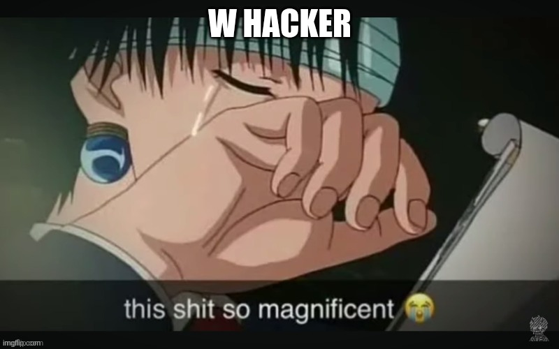 This shit so magnificent | W HACKER | image tagged in this shit so magnificent | made w/ Imgflip meme maker