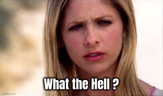 Buffy The Vampire Slayer WTF | What the Hell ? | image tagged in buffy the vampire slayer wtf | made w/ Imgflip meme maker