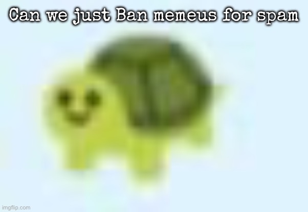 low quality turtle | Can we just Ban memeus for spam | image tagged in low quality turtle,msmg | made w/ Imgflip meme maker