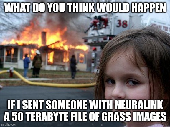 on my way to explode my friends brain | WHAT DO YOU THINK WOULD HAPPEN; IF I SENT SOMEONE WITH NEURALINK A 50 TERABYTE FILE OF GRASS IMAGES | image tagged in memes,disaster girl,touch grass,funny,neuralink,stop reading the tags | made w/ Imgflip meme maker