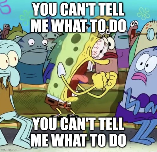 Spongebob Yelling | YOU CAN'T TELL ME WHAT TO DO YOU CAN'T TELL ME WHAT TO DO | image tagged in spongebob yelling | made w/ Imgflip meme maker