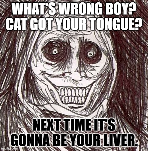 cat got your "tounge" v2 | WHAT'S WRONG BOY? CAT GOT YOUR TONGUE? NEXT TIME IT'S GONNA BE YOUR LIVER. | image tagged in memes,unwanted house guest | made w/ Imgflip meme maker