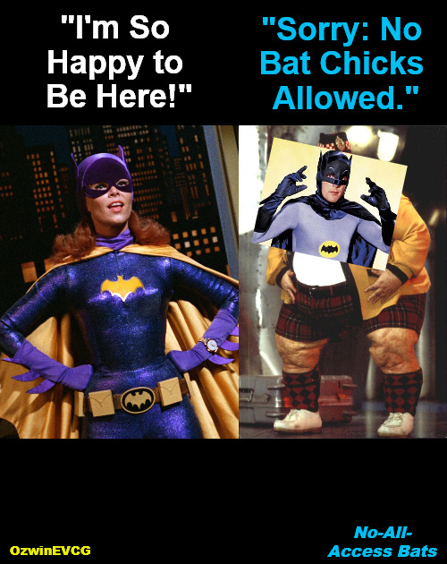 No-All-Access Bats | "Sorry: No 

Bat Chicks 

Allowed."; "I'm So 

Happy to 

Be Here!"; No-All-

Access Bats; OzwinEVCG | image tagged in surprise,batman,fat,batwoman,rules,bummer | made w/ Imgflip meme maker