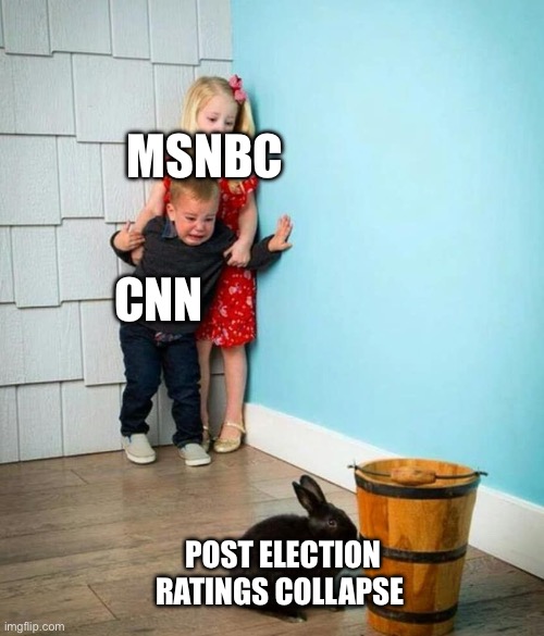 Collapse | MSNBC; CNN; POST ELECTION RATINGS COLLAPSE | image tagged in children scared of rabbit,election,media,msnbc,cnn,politics | made w/ Imgflip meme maker