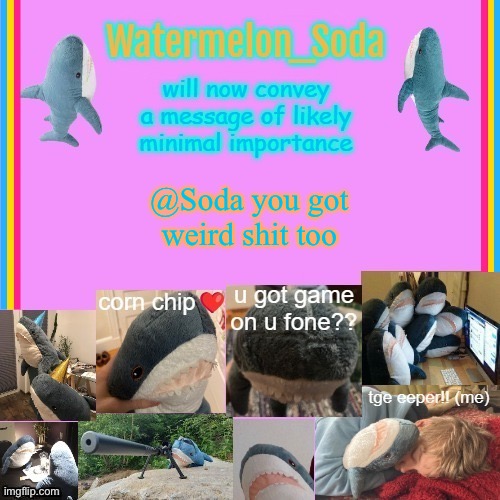 soda's gayass blahaj temp | @Soda you got weird shit too | image tagged in soda's gayass blahaj temp | made w/ Imgflip meme maker