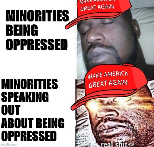 MAGA Shaq I sleep real shit | MINORITIES BEING OPPRESSED MINORITIES SPEAKING OUT ABOUT BEING OPPRESSED | image tagged in maga shaq i sleep real shit | made w/ Imgflip meme maker