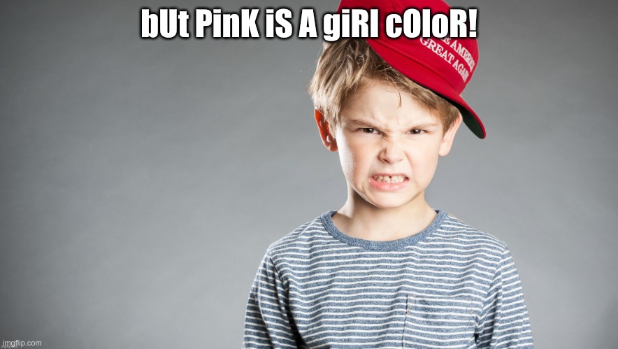 MAGA kid mad | bUt PinK iS A giRl cOloR! | image tagged in maga kid mad | made w/ Imgflip meme maker