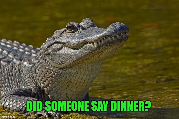 Laughing Alligator | DID SOMEONE SAY DINNER? | image tagged in laughing alligator | made w/ Imgflip meme maker