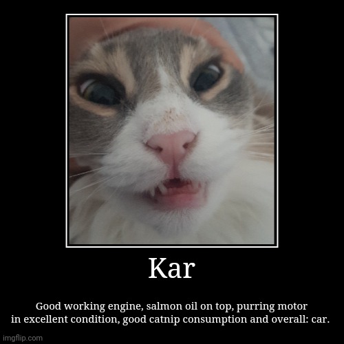 Kar | Good working engine, salmon oil on top, purring motor in excellent condition, good catnip consumption and overall: car. | image tagged in funny,demotivationals | made w/ Imgflip demotivational maker