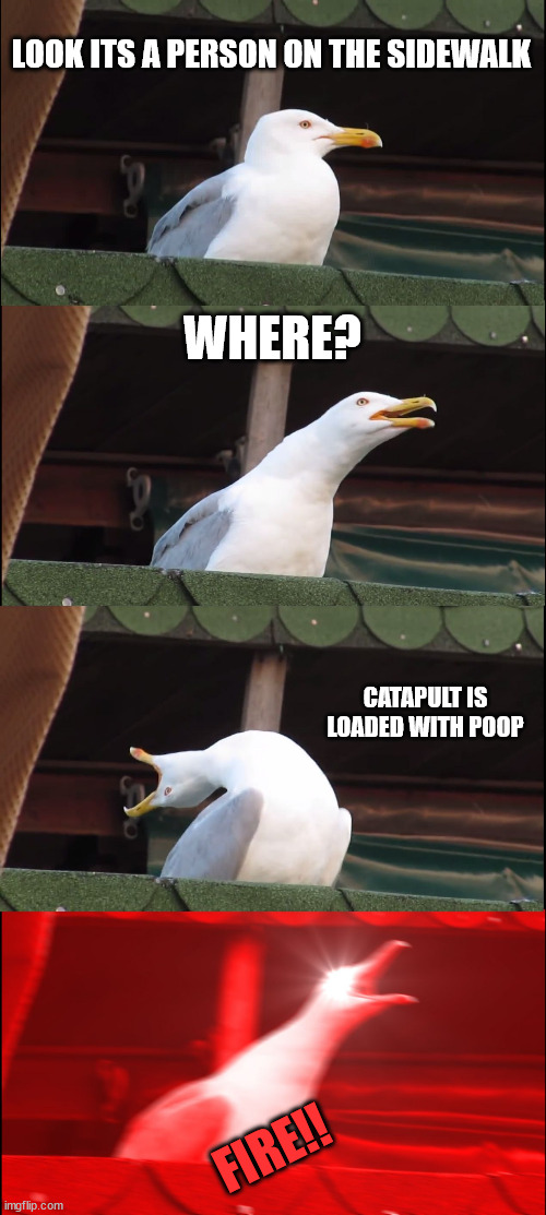 Seagulls be like | LOOK ITS A PERSON ON THE SIDEWALK; WHERE? CATAPULT IS LOADED WITH POOP; FIRE!! | image tagged in memes,inhaling seagull,poop | made w/ Imgflip meme maker