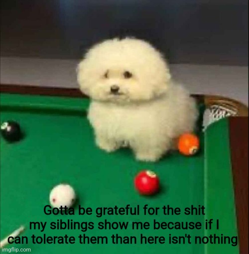 Gotta be grateful for the shit my siblings show me because if I can tolerate them than here isn't nothing | made w/ Imgflip meme maker