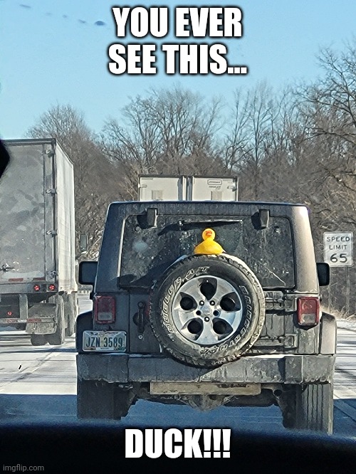 Duck | YOU EVER SEE THIS... DUCK!!! | image tagged in duck | made w/ Imgflip meme maker